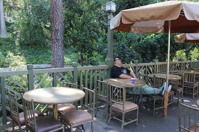 Best Places To Nap At Disneyland Hungry Bear Restaurant