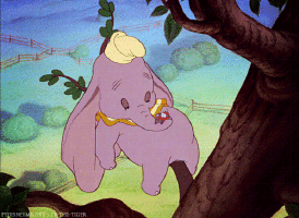 Dumbo_TimothyMouse_Gif