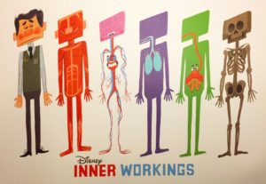 Inner Workings Poster Paul Internal Organs Layers